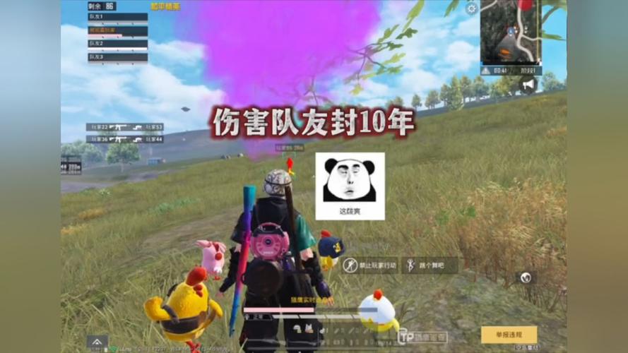 和平精英【星辰】iOS辅助